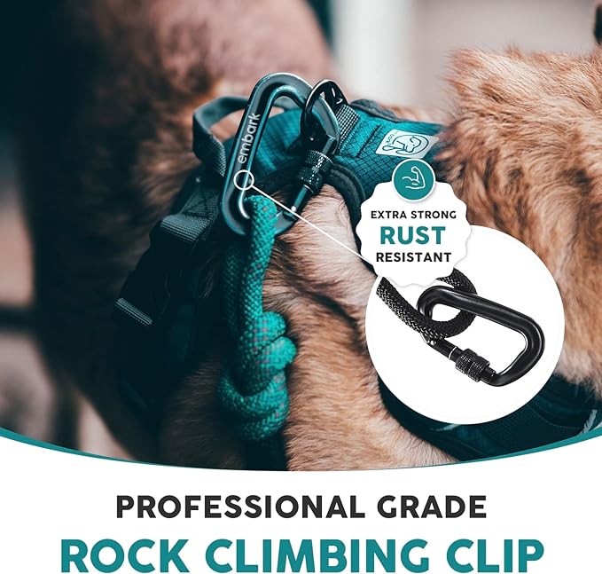 Embark Sierra Leash